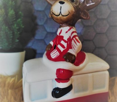 Žive jaslice u Postojnskoj jami & Ljubljana, 26. i 28.12.